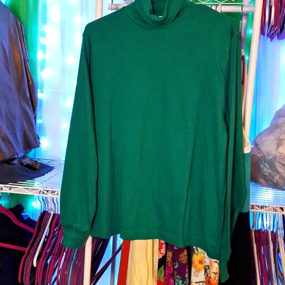 BAXTER AND WELLS GREEN TURTLE NECK SIZE LARGE PETITE